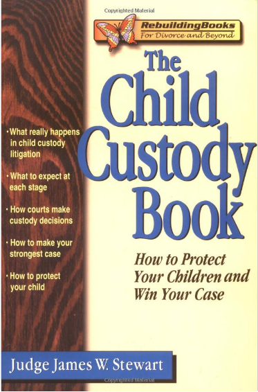 The Child Custody Book